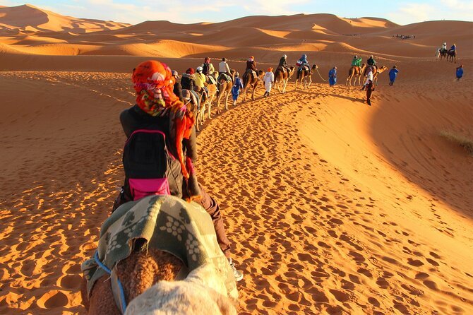 desert morocco